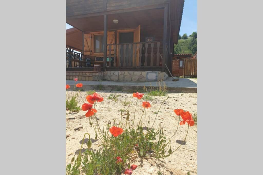 Cabana De Madera Especial Y Acogedora Cardenete 외부 사진