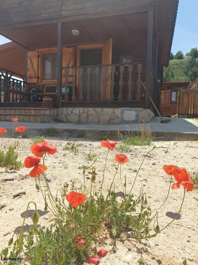 Cabana De Madera Especial Y Acogedora Cardenete 외부 사진